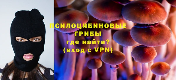 прущие грибы Краснослободск