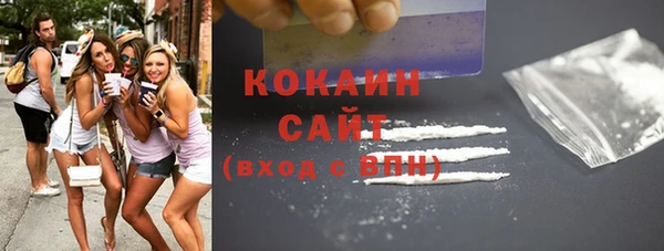 прущие грибы Краснослободск