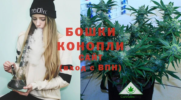 прущие грибы Краснослободск
