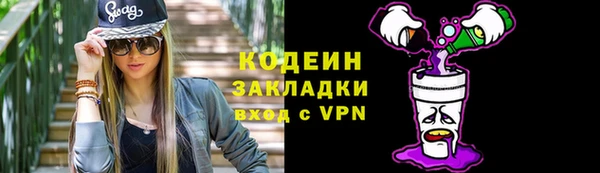 прущие грибы Краснослободск