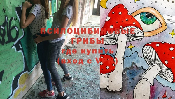 эйфоретик Краснотурьинск