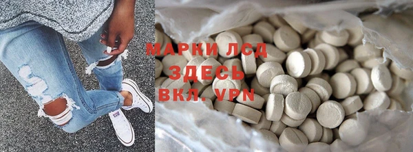 прущие грибы Краснослободск