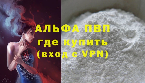 прущие грибы Краснослободск