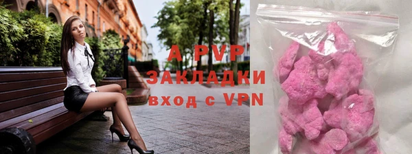 прущие грибы Краснослободск