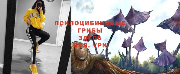 эйфоретик Краснотурьинск