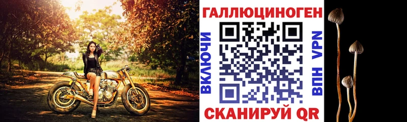 Псилоцибиновые грибы мицелий  Купить где  Плёс 