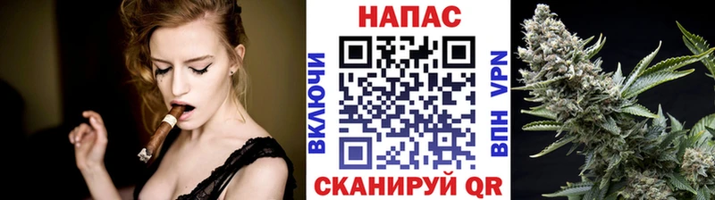 МАРИХУАНА SATIVA & INDICA  Купить закладки  Плёс 